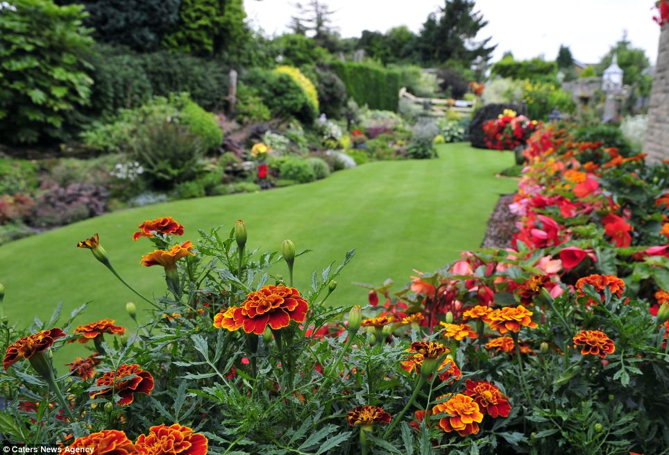 Prepare your garden for summer in three simple steps