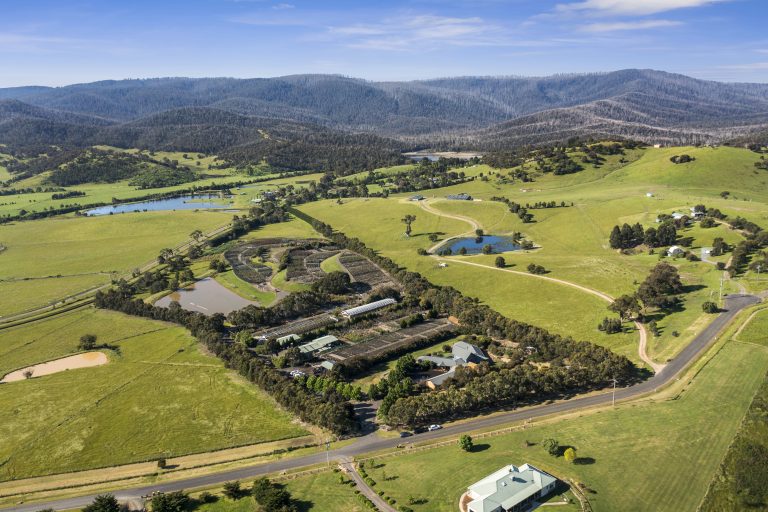 Stone Real Estate expands in greater Melbourne with Whittlesea office