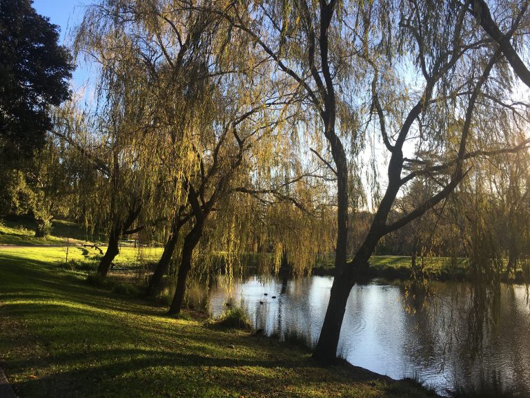 Stone Real Estate continues its Queensland expansion, launching Stone Logan West