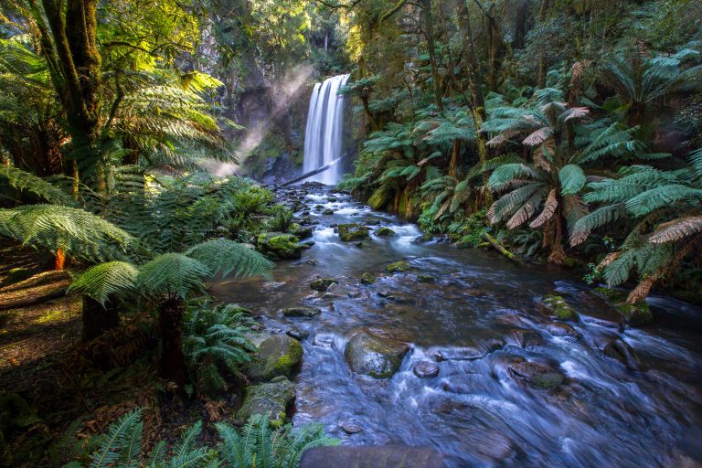 Embrace Winter: The Best Outdoor Activities in Australia