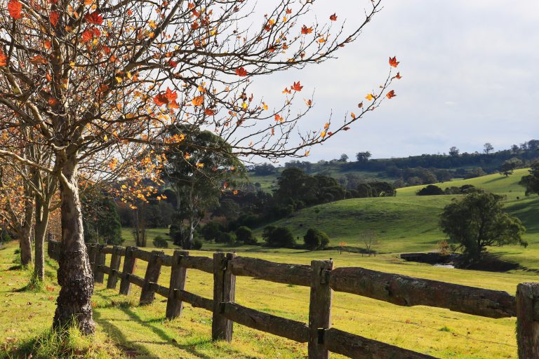 Stone Southern Highlands strengthens local presence with Sophie Desprez and team